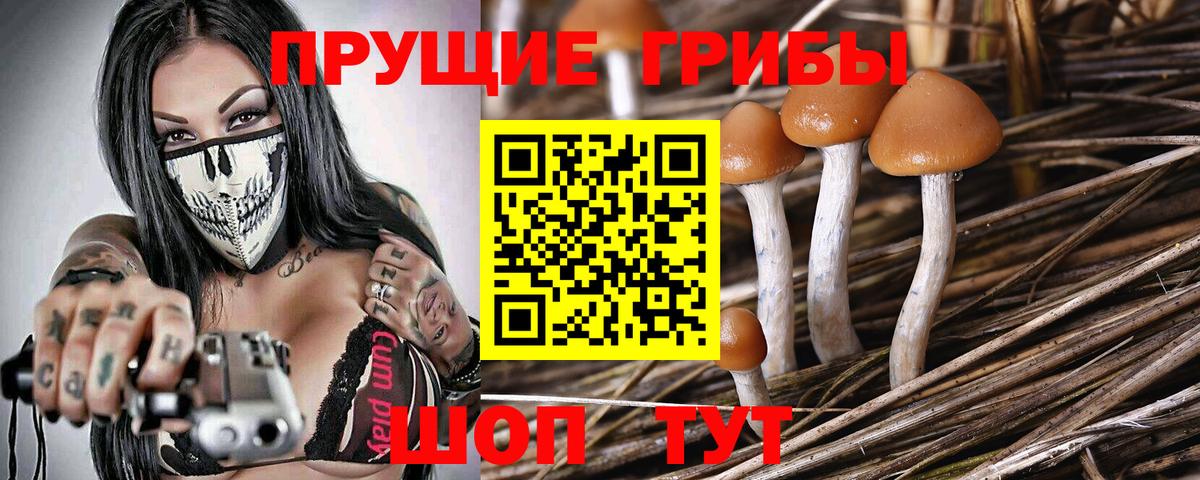 Галлюциногенные грибы Cubensis Кунгур